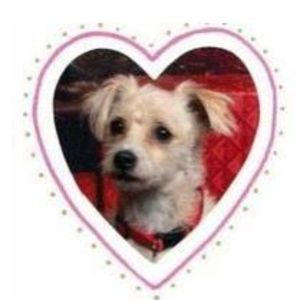 Meet your Posher, Jane